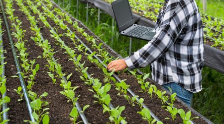 female-agriculturist-using-laptop-to-recording-gro-2022-11-16-16-45-45-utc