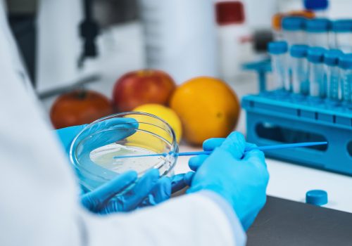 Food Safety Testing in Microbiology Laboratory – Microbiologist inoculating nutritive agar, looking for presence of pathogens and signs of spoilage