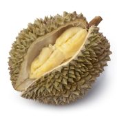 Fresh Durian fruit on white background