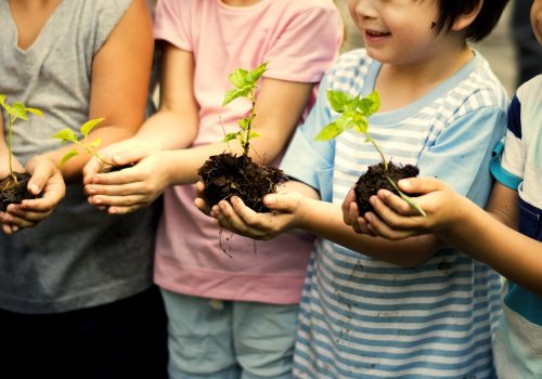 Kindergarden kids with plants in their hands