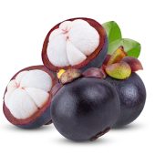 Mangosteen isolated on the white background