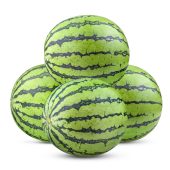watermelon isolated on white background. full depth of field
